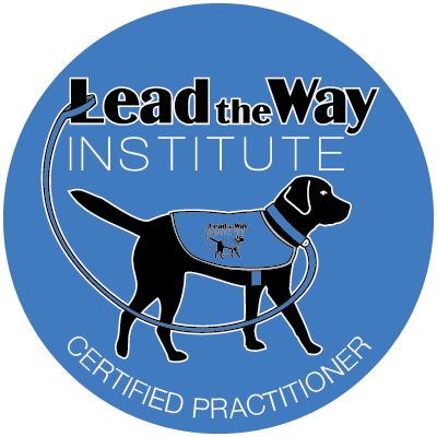 Level Five | Lead The Way Institute
